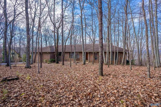 35 Circle Drive NE, Fort Payne, AL 35967