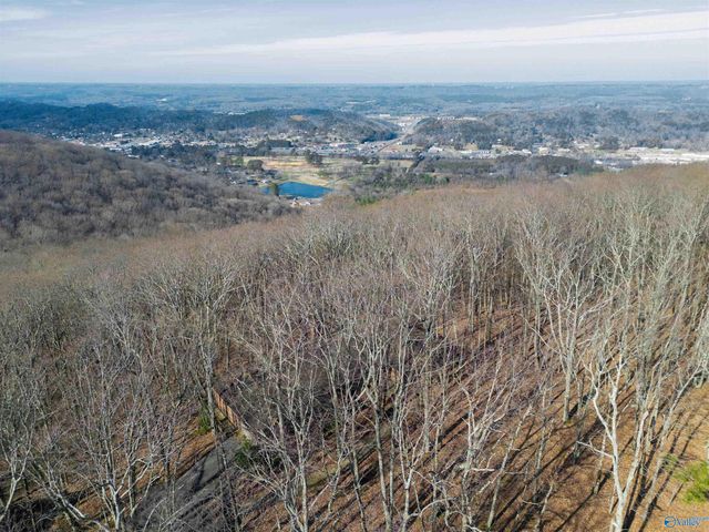 35 Circle Drive NE, Fort Payne, AL 35967