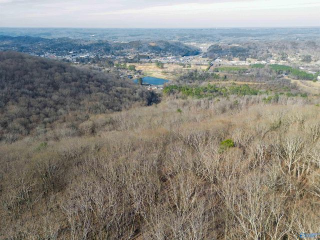 35 Circle Drive NE, Fort Payne, AL 35967