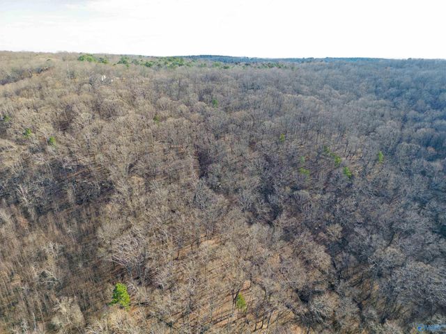 35 Circle Drive NE, Fort Payne, AL 35967