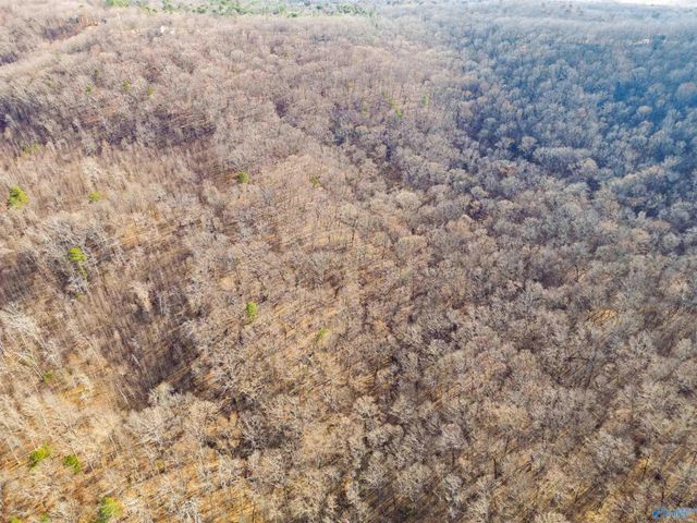 35 Circle Drive NE, Fort Payne, AL 35967