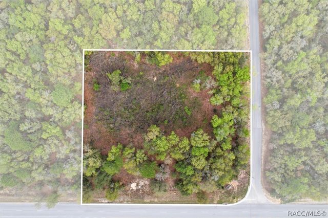 161 W Norvell Bryant Highway, Hernando, FL 34442