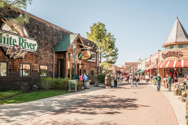 10310 Branson Landing Boulevard 310, Branson, MO 65616