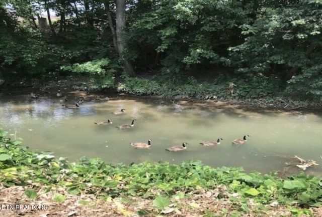 4143 Walker Blvd, Knoxville, TN 37917