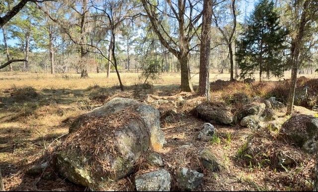 10550 NW 115TH AVENUE, Reddick, FL 32686