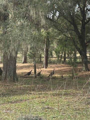 10550 NW 115TH AVENUE, Reddick, FL 32686