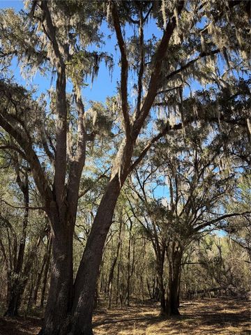 10550 NW 115TH AVENUE, Reddick, FL 32686