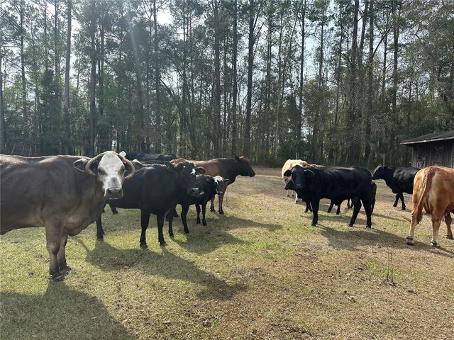 10550 NW 115TH AVENUE, Reddick, FL 32686