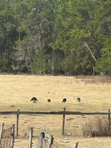 10550 NW 115TH AVENUE, Reddick, FL 32686