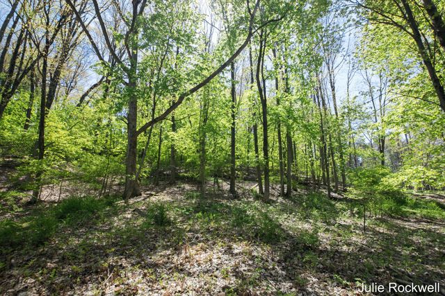 6050 Grand River Drive Ne, Ada Twp, MI 49301