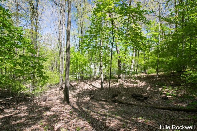 6050 Grand River Drive Ne, Ada Twp, MI 49301