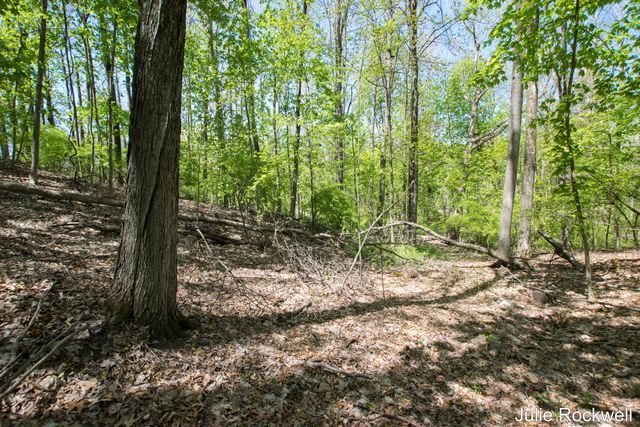 6050 Grand River Drive Ne, Ada Twp, MI 49301