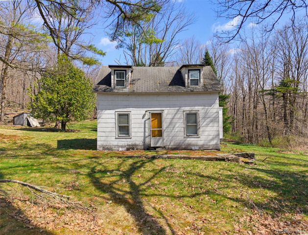 467 Old Hunter Road, Livingston Manor, NY 12758