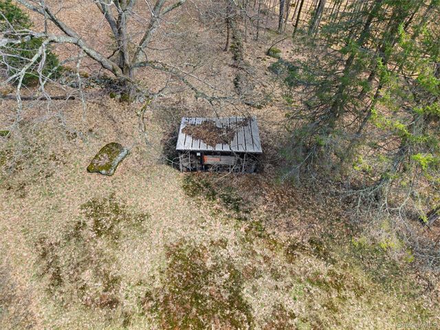 467 Old Hunter Road, Livingston Manor, NY 12758