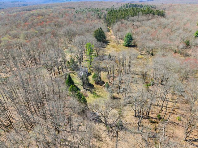 467 Old Hunter Road, Livingston Manor, NY 12758