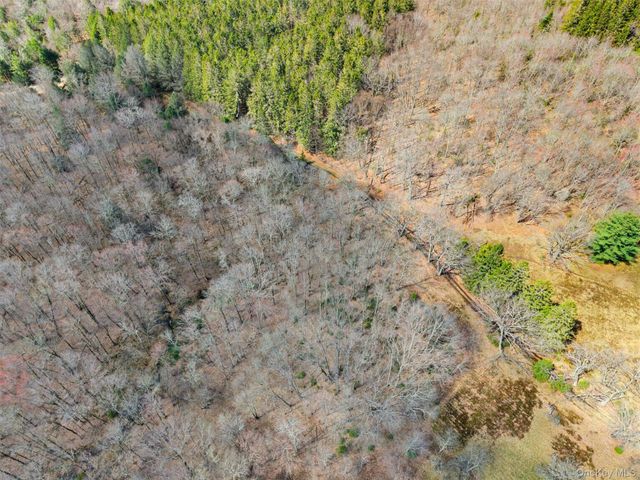 467 Old Hunter Road, Livingston Manor, NY 12758