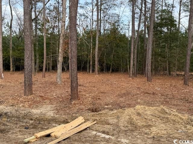 1082 Rocky Ln., Conway, SC 29526