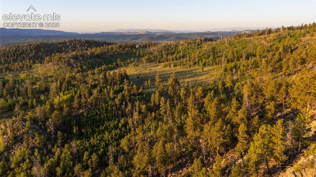 404 Valley Drive, Florissant, CO 80816 — photo 4