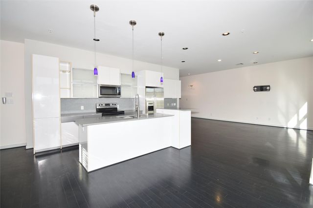 207 Pierce Street 201, Houston, TX 77002