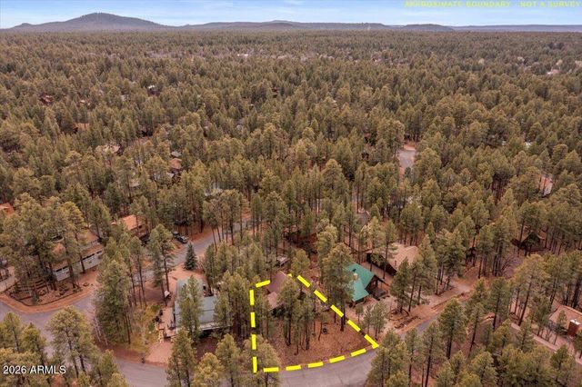 3236 TURKEY TRACK Road, Pinetop, AZ 85935