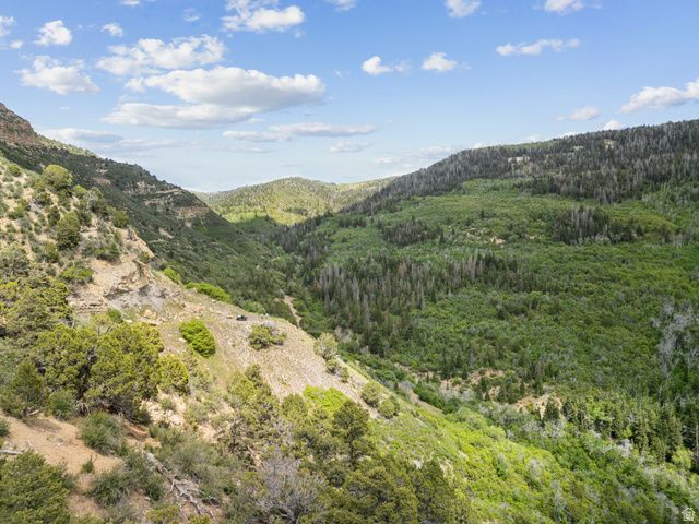 11680 E 29130 N, Fairview, UT 84629