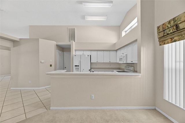 16604 LAKE HEATHER DRIVE, Tampa, FL 33618