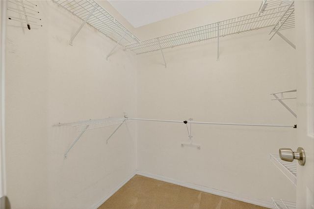 16604 LAKE HEATHER DRIVE, Tampa, FL 33618