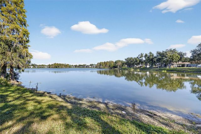 16604 LAKE HEATHER DRIVE, Tampa, FL 33618