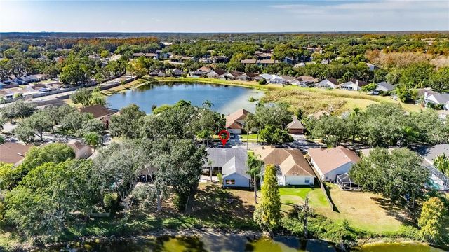 16604 LAKE HEATHER DRIVE, Tampa, FL 33618