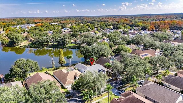 16604 LAKE HEATHER DRIVE, Tampa, FL 33618