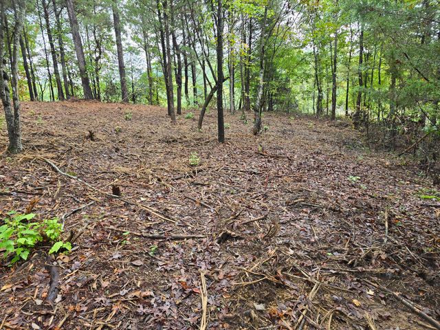0 Old Alabama Road SW, Mcdonald, TN 37353