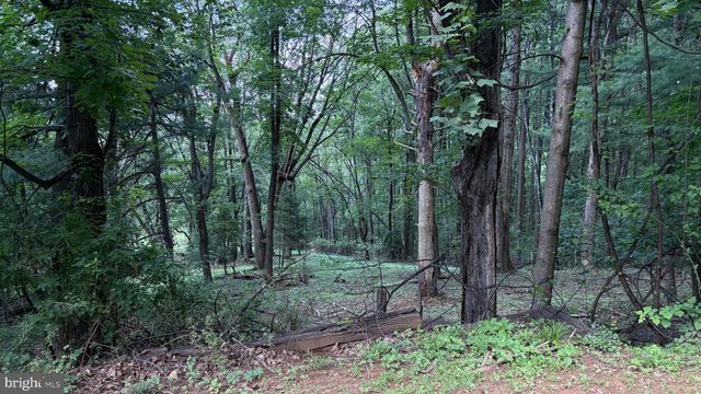 287 BLACKTHORNE RD, Luray, VA 22835