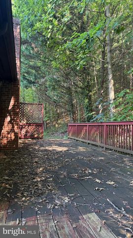 287 BLACKTHORNE RD, Luray, VA 22835