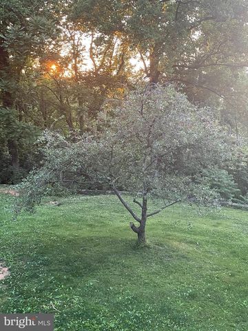 287 BLACKTHORNE RD, Luray, VA 22835