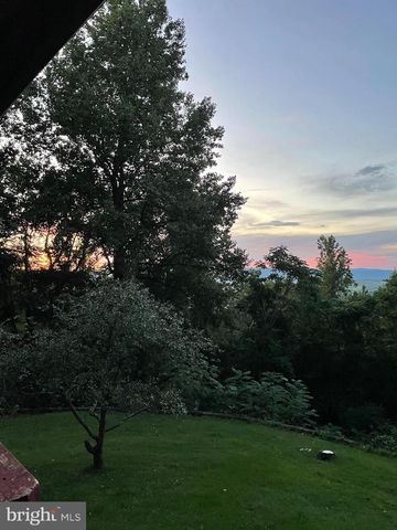 287 BLACKTHORNE RD, Luray, VA 22835