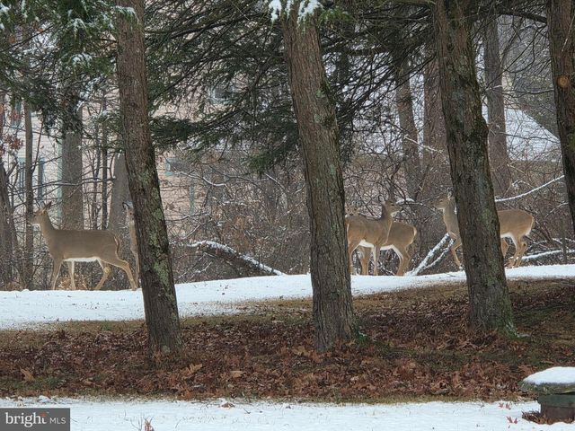 360 PHEASANT RD, Mohnton, PA 19540