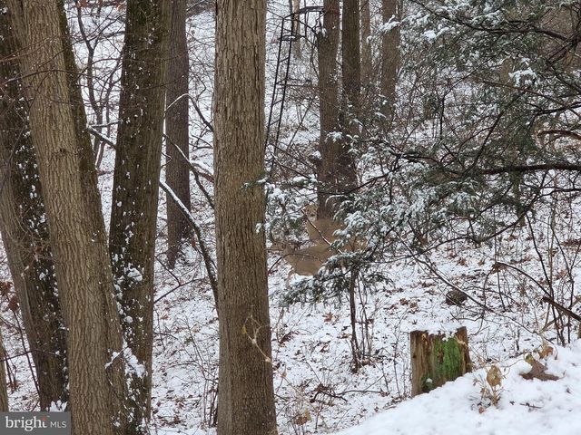 360 PHEASANT RD, Mohnton, PA 19540