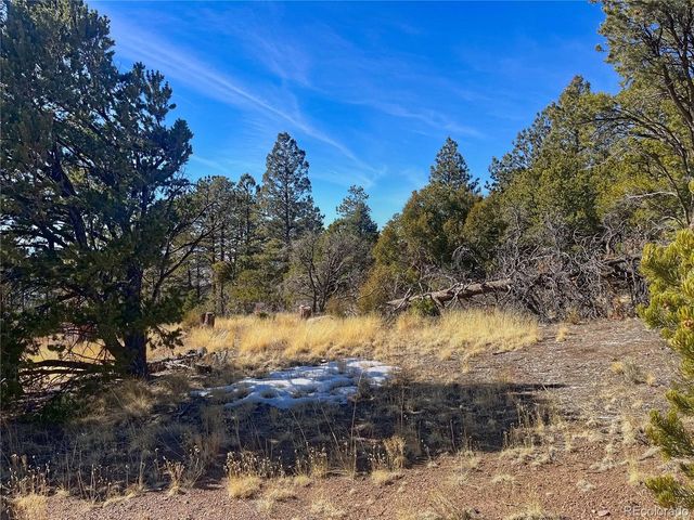 0 Adelaide Rd, Fort Garland, CO 81133