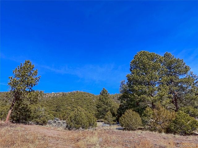 0 Adelaide Rd, Fort Garland, CO 81133