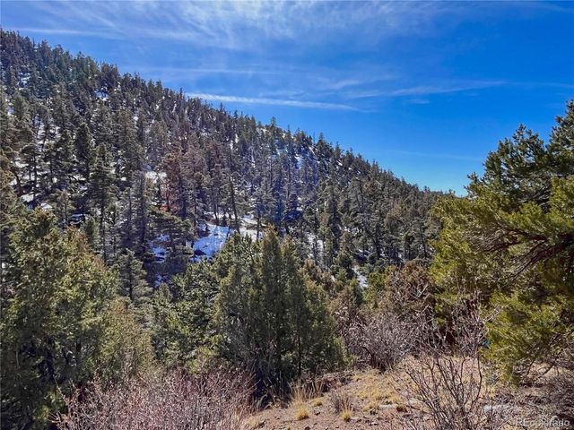 0 Adelaide Rd, Fort Garland, CO 81133