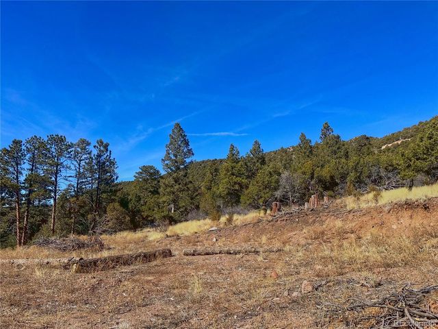 0 Adelaide Rd, Fort Garland, CO 81133