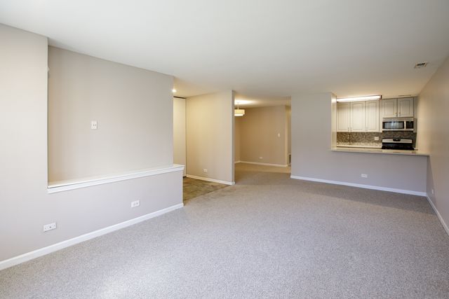 828 S Bell Avenue, Chicago, IL 60612
