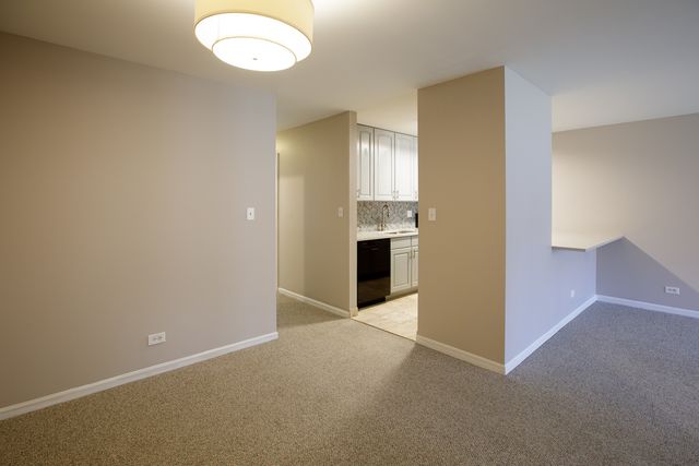828 S Bell Avenue, Chicago, IL 60612
