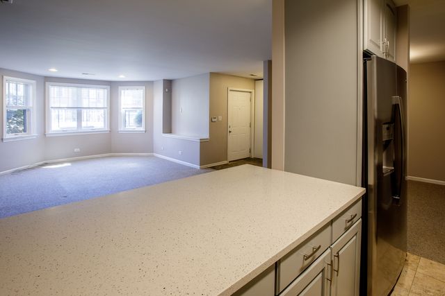 828 S Bell Avenue, Chicago, IL 60612