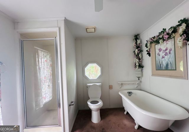 790 Jekyll Road, Baxley, GA 31513