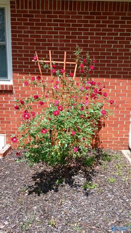 505 Bellingrath Drive, Huntsville, AL 35802