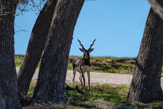 121 Calleja Verde, Wimberley, TX 78676