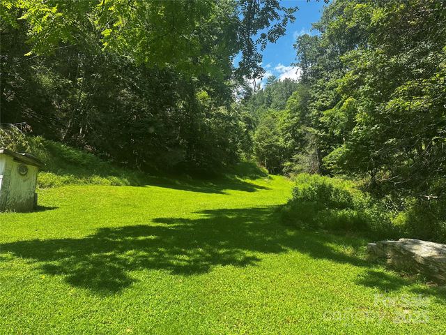 8485 Hwy 197 Highway, Green Mountain, NC 28740