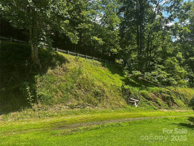 8485 Hwy 197 Highway, Green Mountain, NC 28740