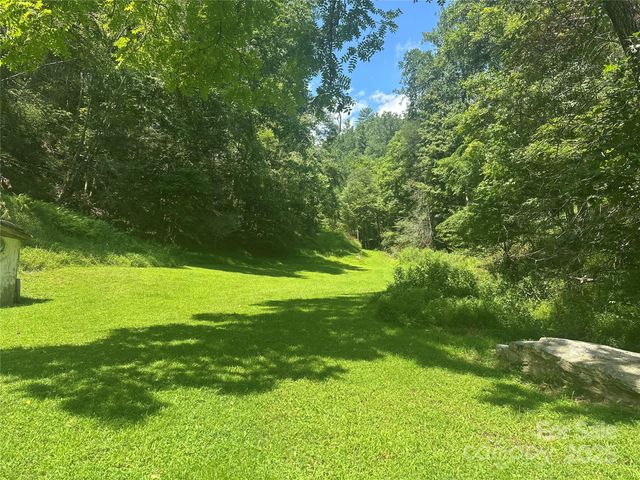 8485 Hwy 197 Highway, Green Mountain, NC 28740